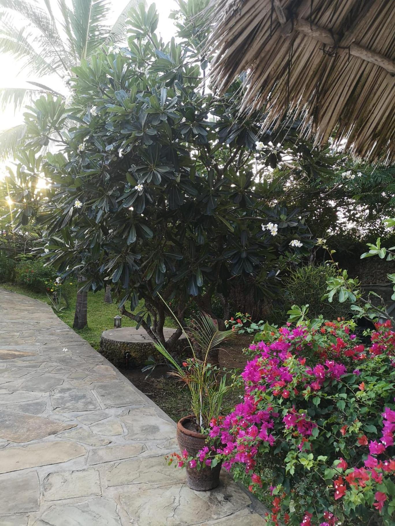 Villa Fulvia House Malindi Esterno foto