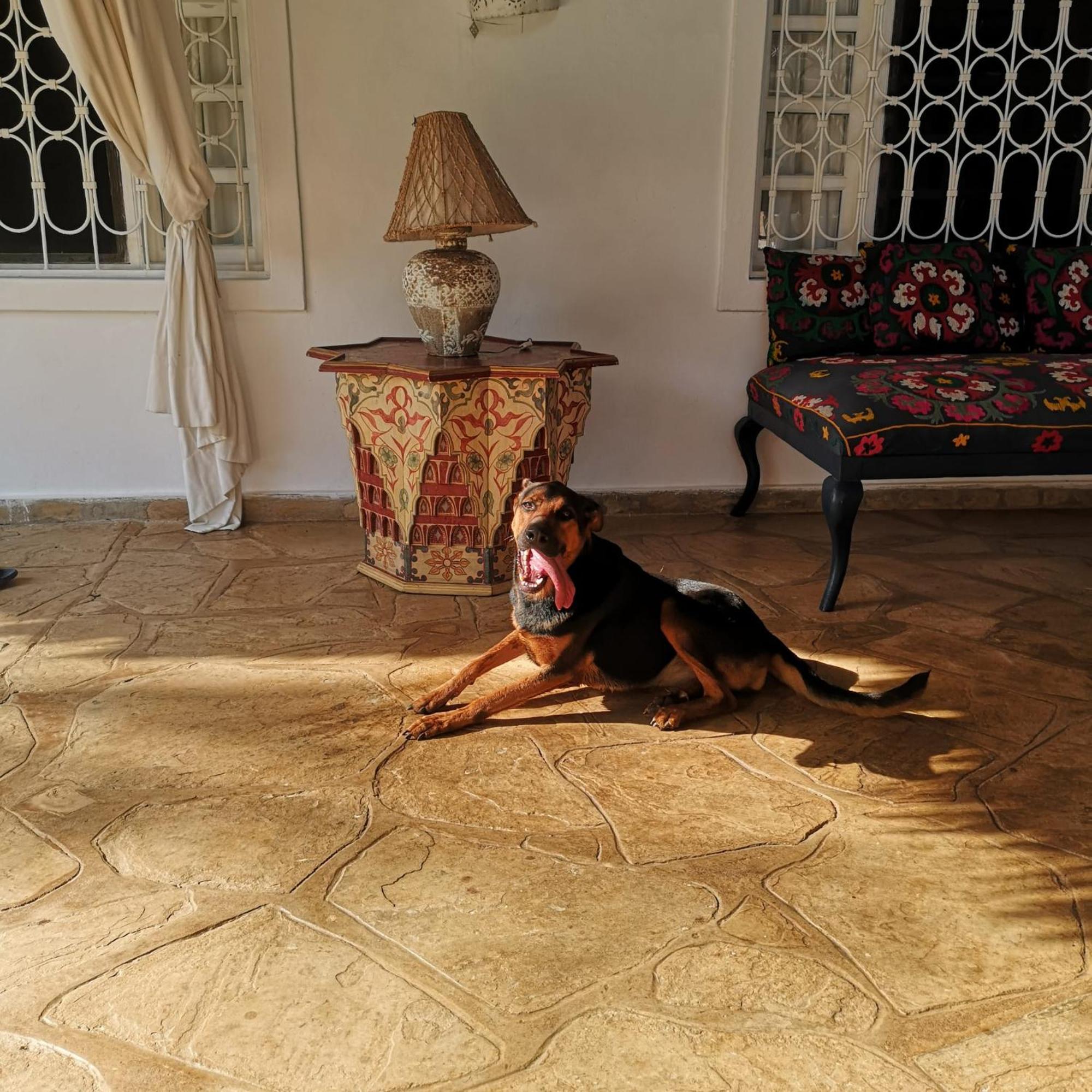 Villa Fulvia House Malindi Esterno foto